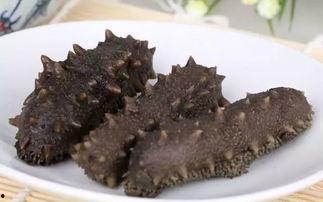 妖怪爆料海参视频在线观看,妖怪爆料视频带你探秘海洋奇观  第3张